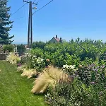 Panorama Vine House *